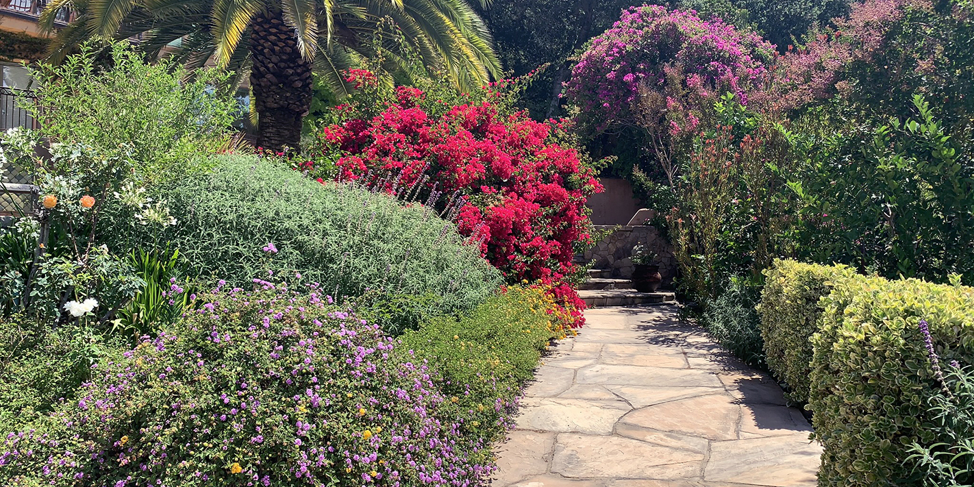 Beautiful Garden Path in Sonoma