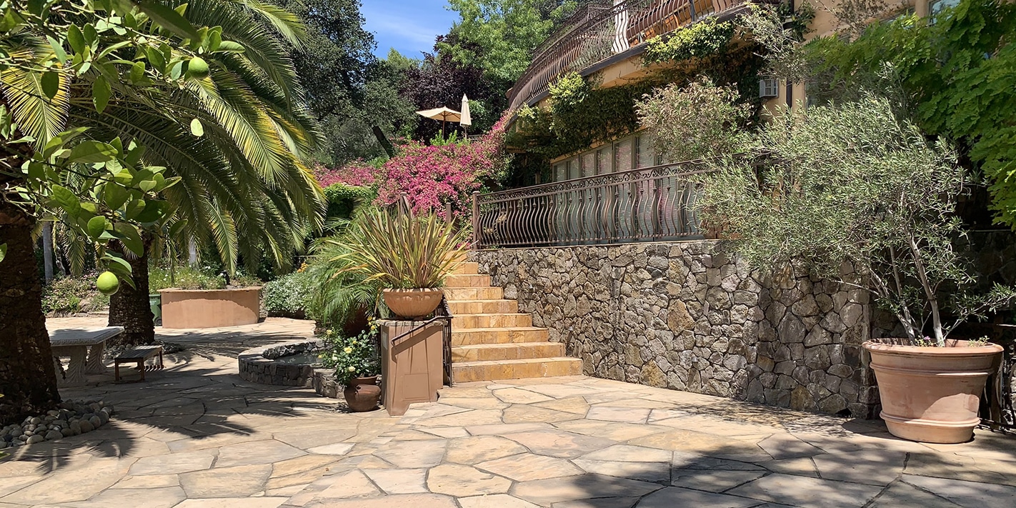 Main Patio Shaded by Palm Trees in Sonoma